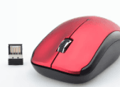 Mouse